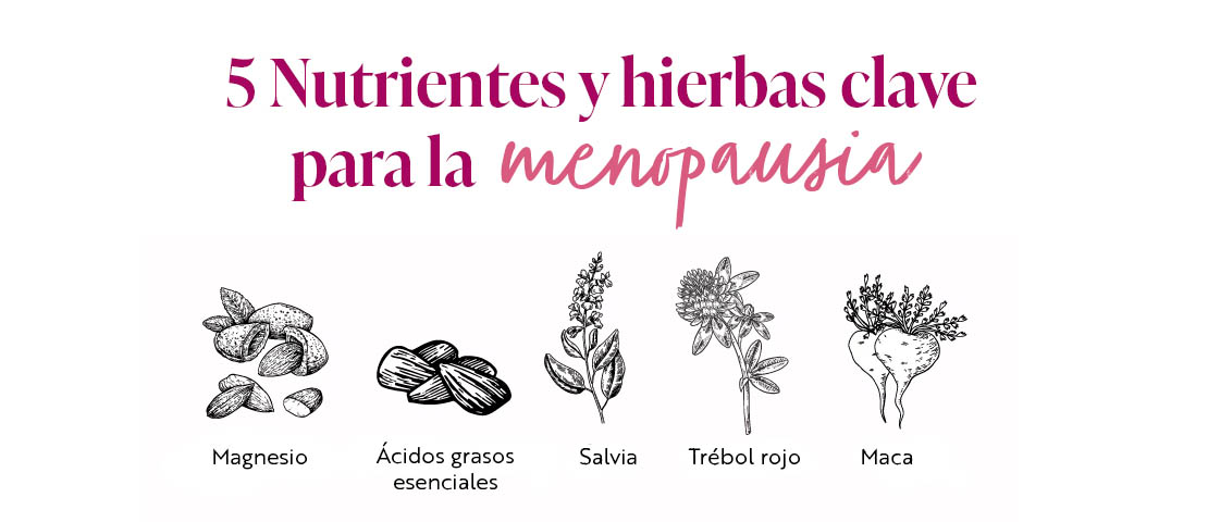 5 nutrientes para la menopausia